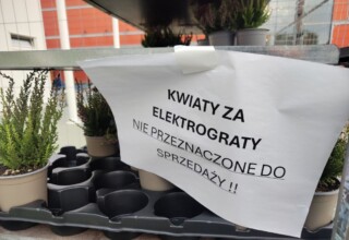 "Kwiaty za elektrograty w Castoramie"