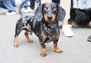 "Marsz Jamników Kraków 2025 zdjęcia"