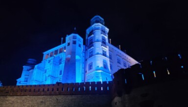 "Zamek Królewski na Wawelu"