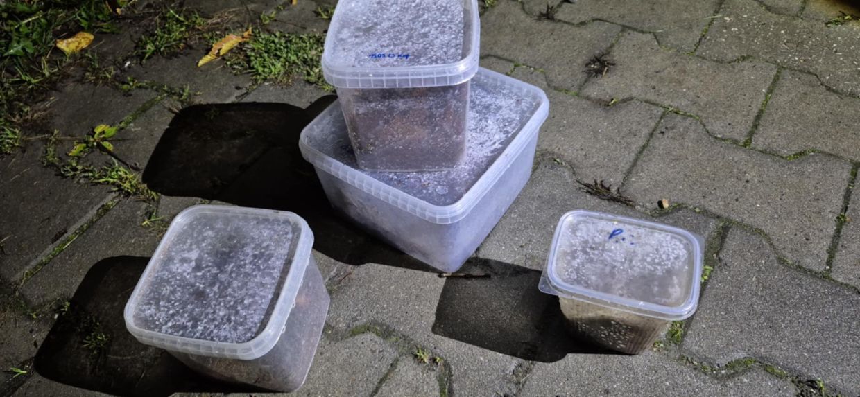 Ulica Pilotów. Niecodzienne znalezisko w koszu. Wezwano Straż Miejską [ZDJĘCIA]
