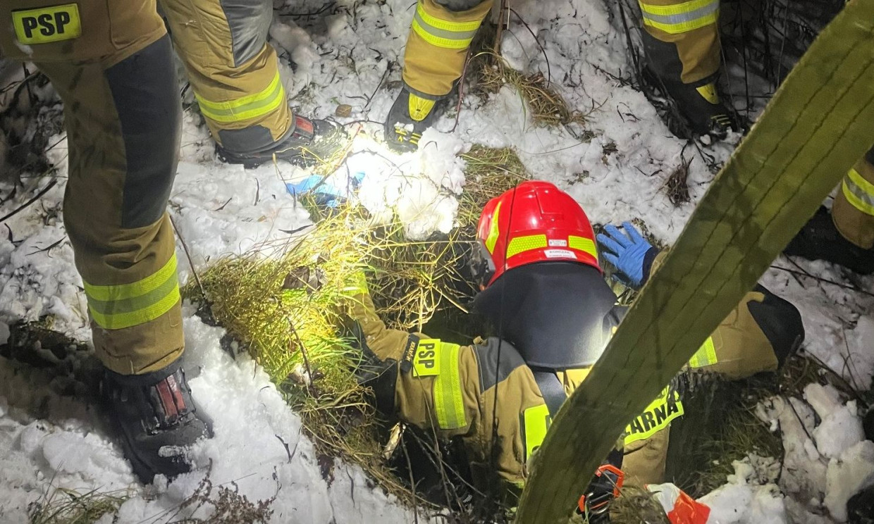Zaskakujący finał interwencji. W studzience przebywał nieoczekiwany gość [ZDJĘCIA]