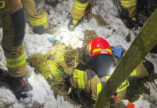"Akcja ratunkowa. Pomocy potrzebowała sarna"