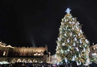 "Choinka na Rynku Głównym w Krakowie"