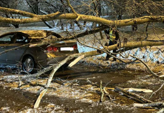 "Drzewo spadło na samochód"