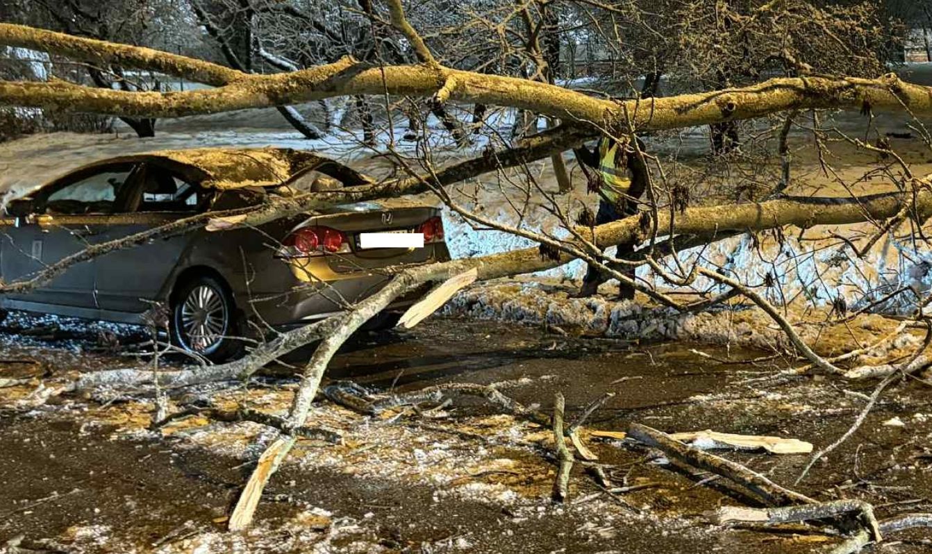 Kraków. Na przejeżdżający samochód spadła duża gałąź