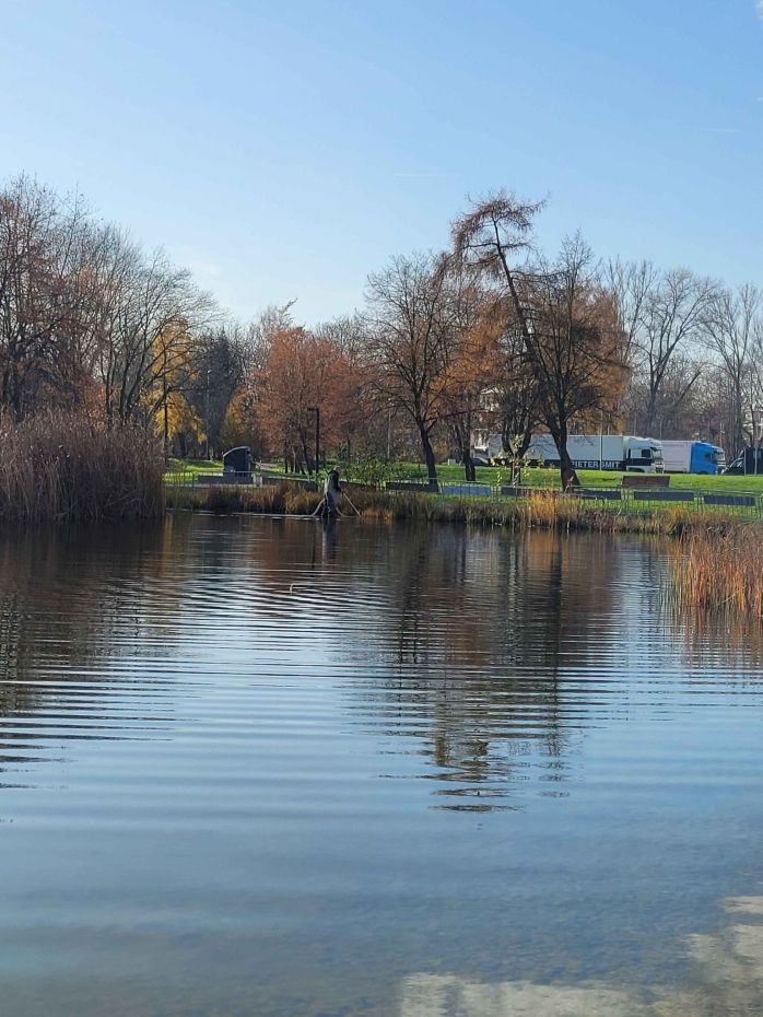 "Czyszczenie stawu w Parku Lotników Polskich"