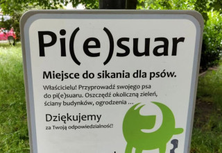 "Piesuar"