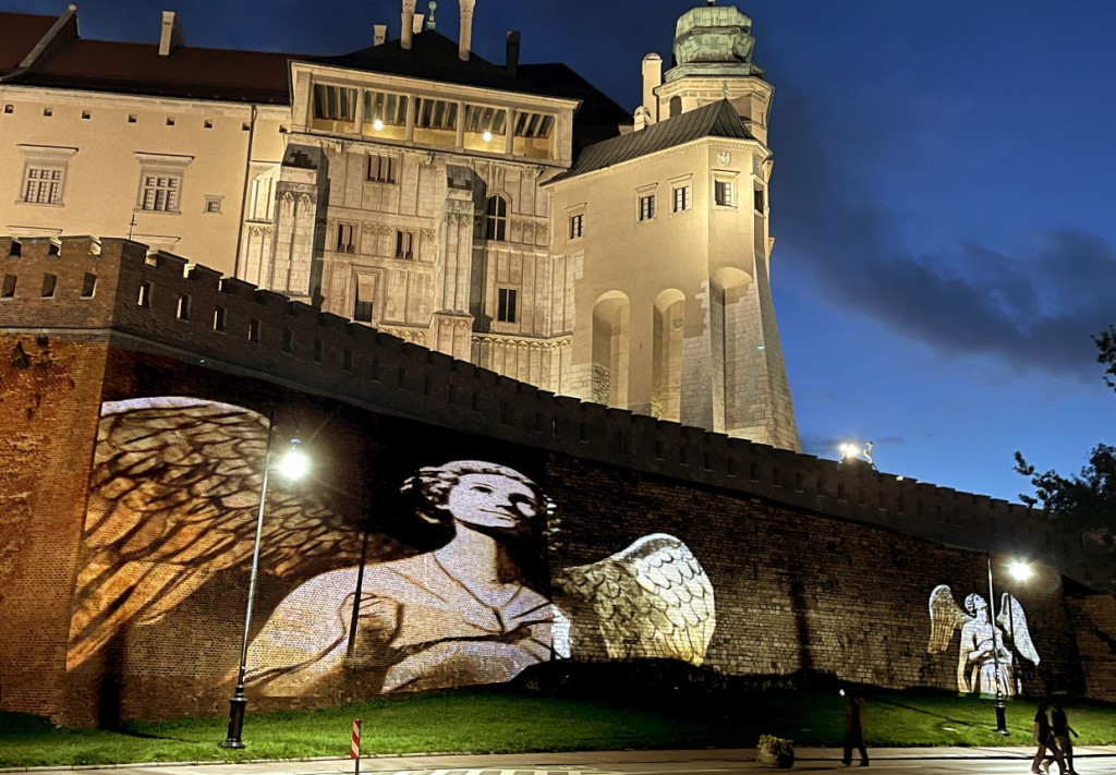 "Maqpping na Wawelu ASP"