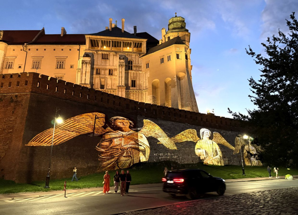 "Maqpping na Wawelu ASP"