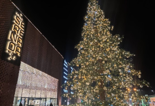 "Serenada w świątecznej odsłonie"