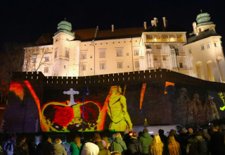 "Pokaz multimedialny na Wawelu"