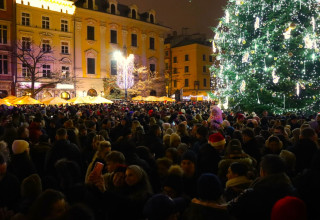 "Choinka Kraków 2025"