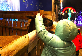 "Żywa szopka w Prokocimiu"