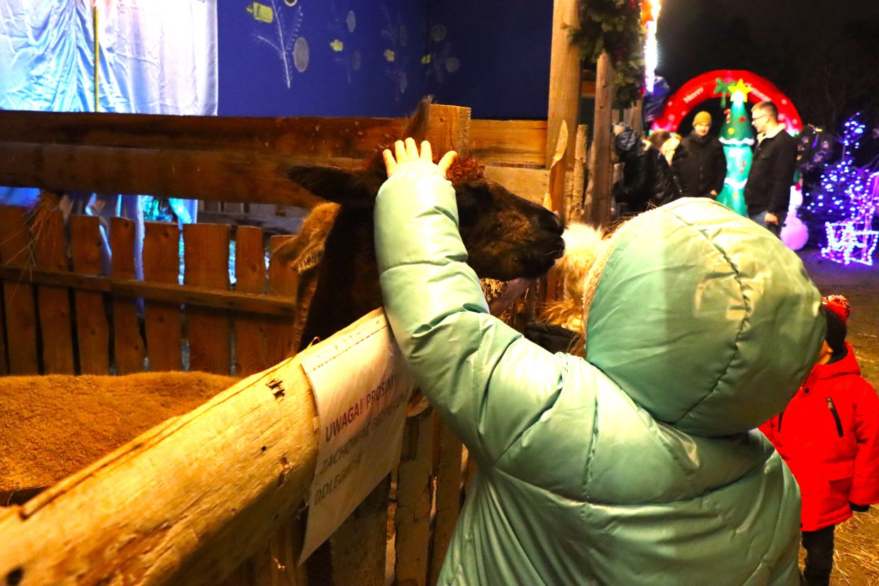 Mało znane miejsce w Krakowie. Żywa szopka w Prokocimiu [ZDJĘCIA]