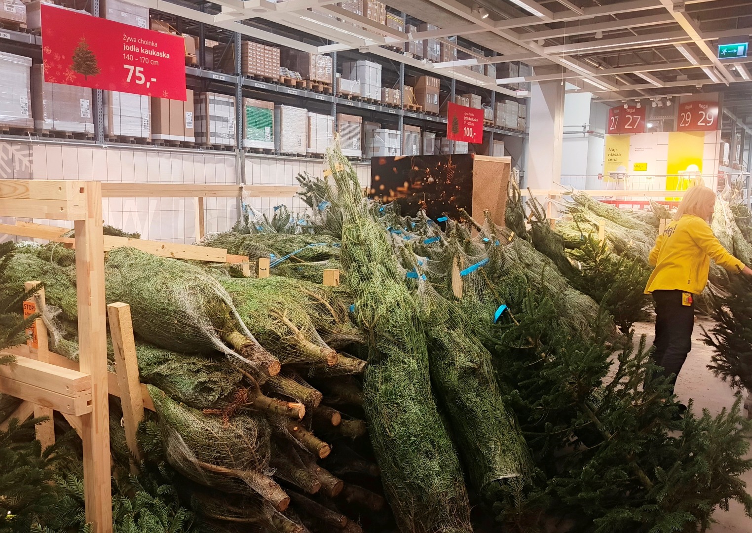 Świąteczna akcja IKEA: równowartość choinki wraca do klientów