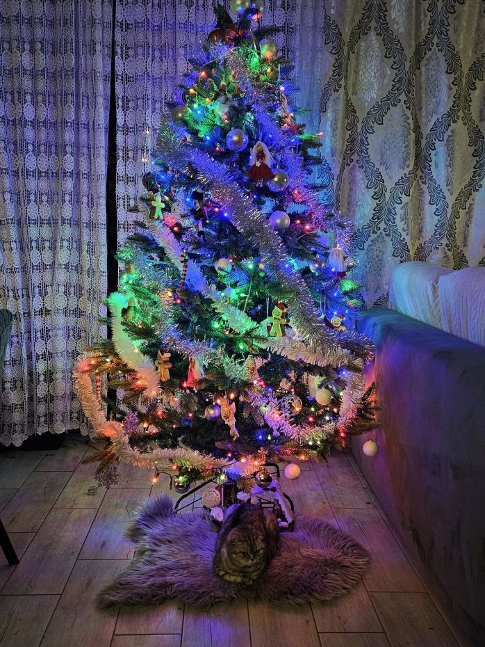 "Choinka Czytelników"