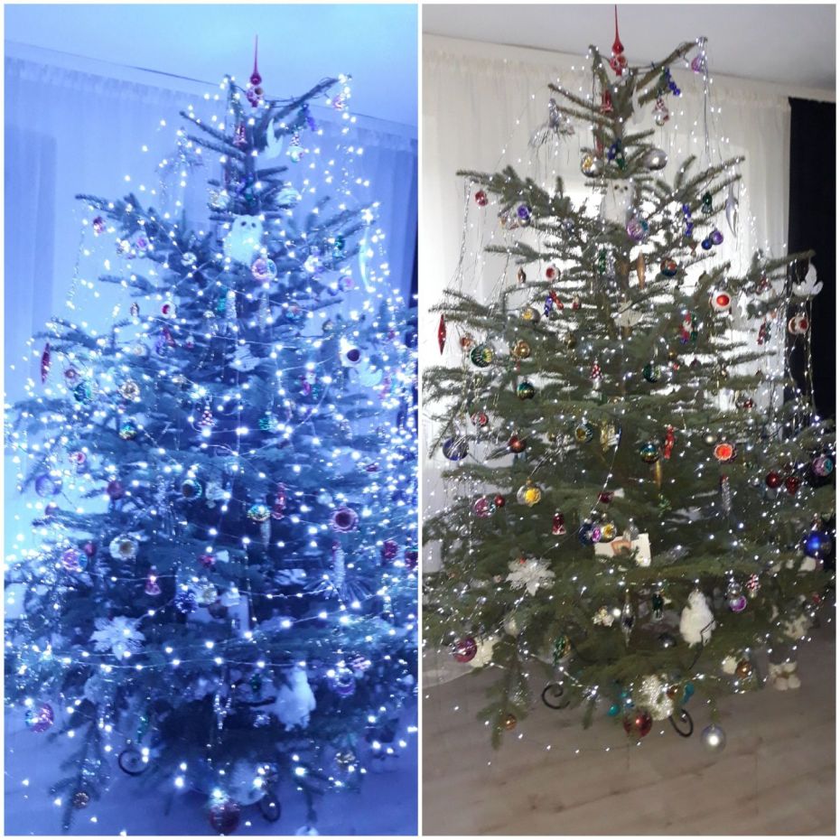 "Choinka Czytelników"