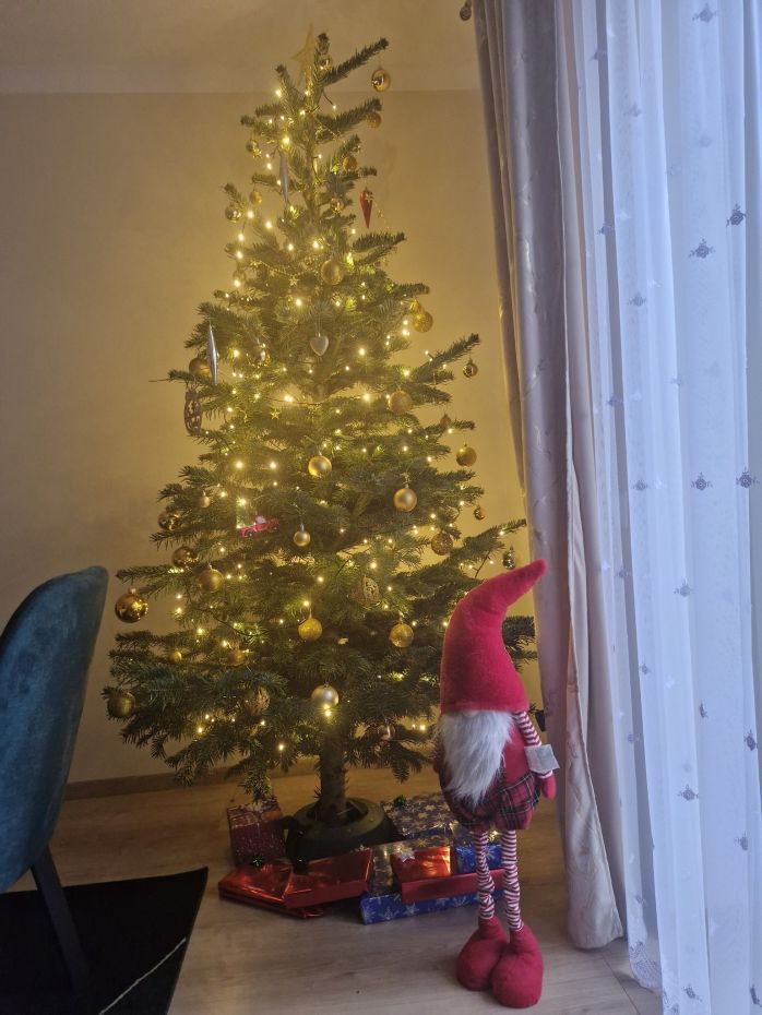 "Choinka Czytelników"