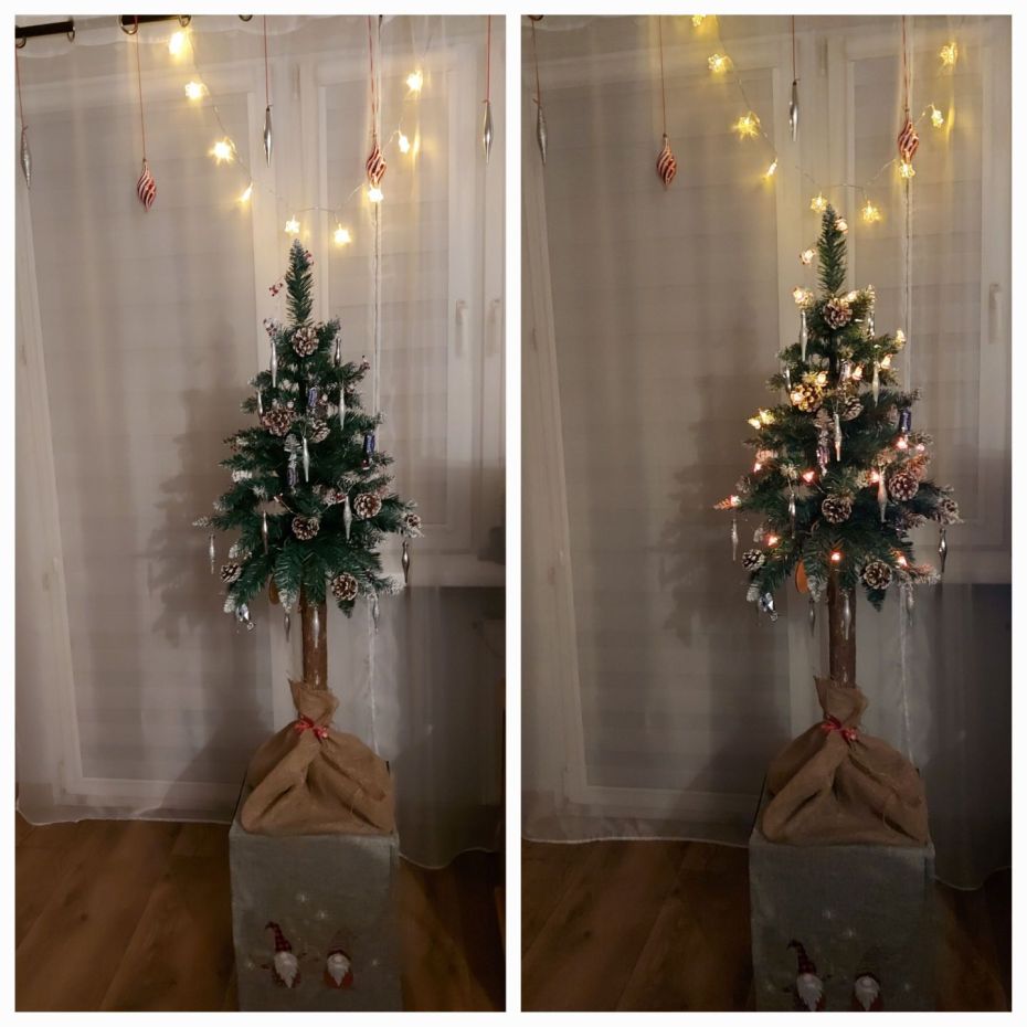 "Choinka Czytelników"