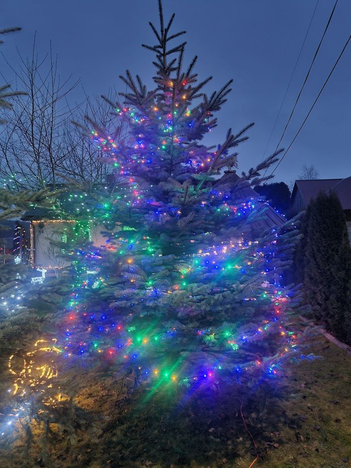 "Choinka Czytelników"