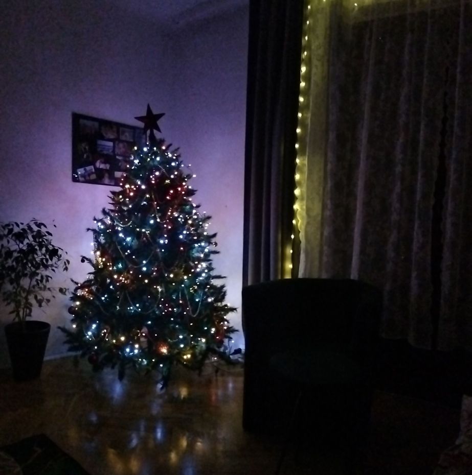 "Choinka Czytelników"