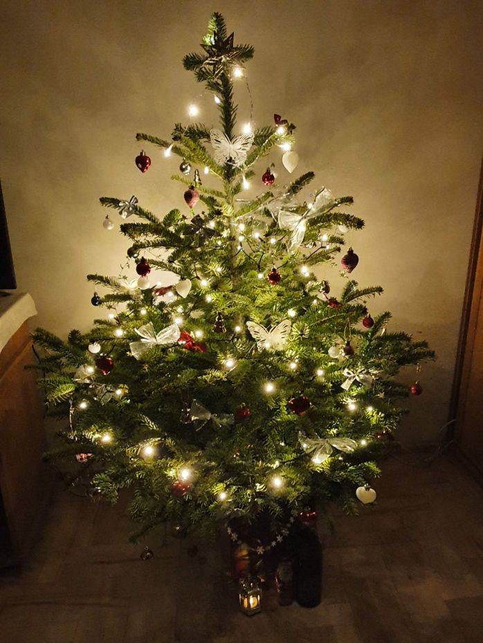 "Choinka Czytelników"