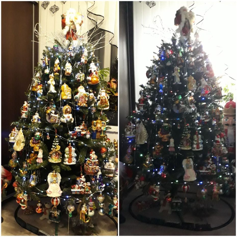 "Choinka Czytelników"