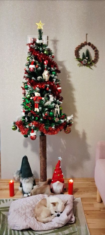 "Choinka Czytelników"