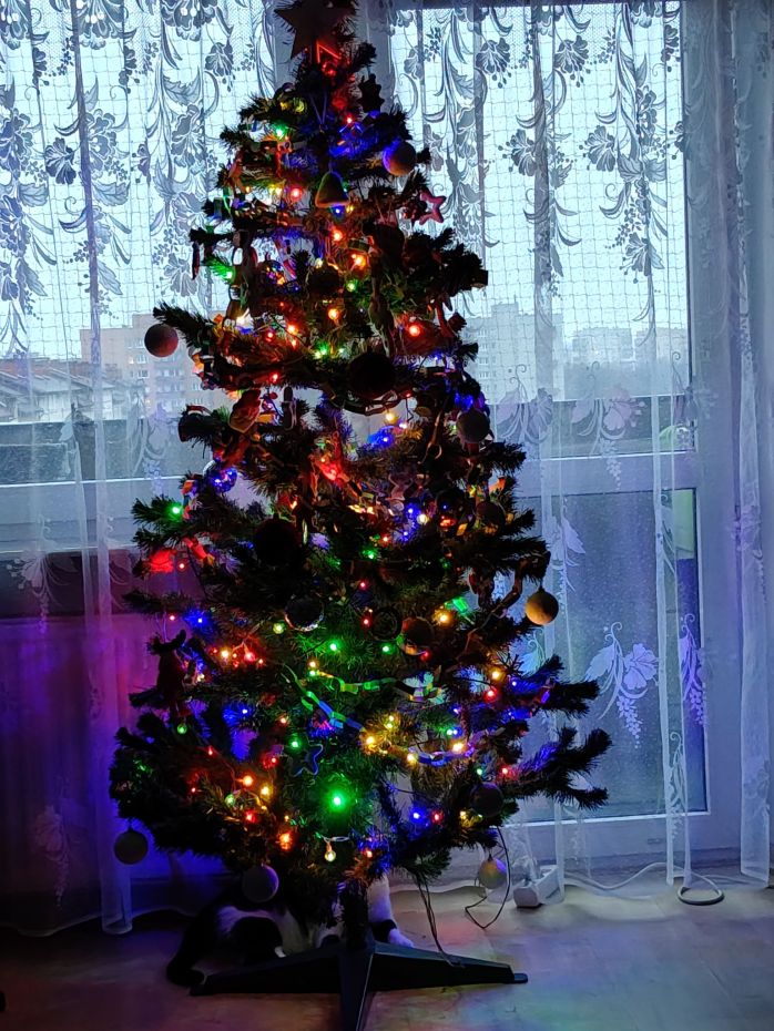 "Choinka Czytelników"