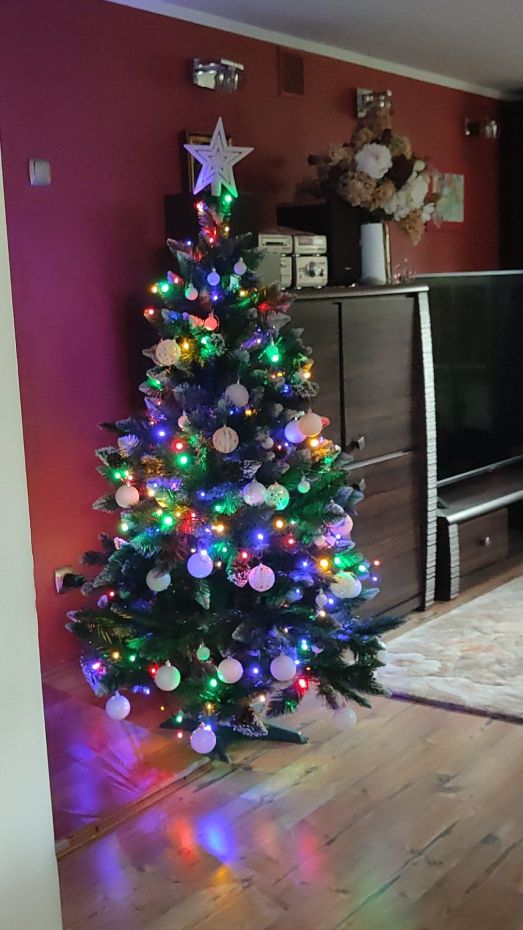 "Choinka Czytelników"