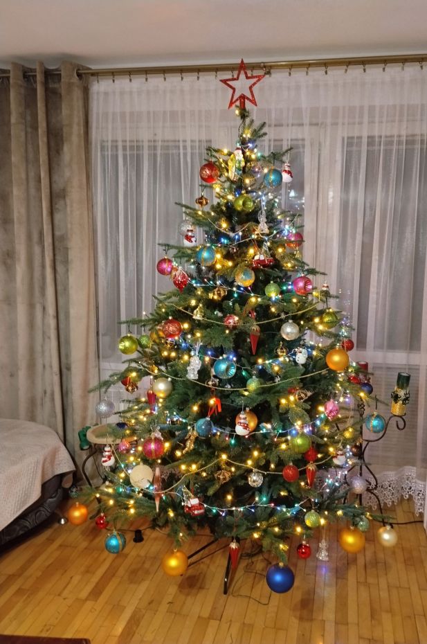 "Choinka Czytelników"