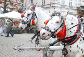 "Dorożka w Krakowie"