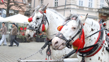 "Dorożka w Krakowie"