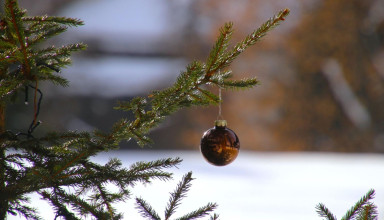 "Piknik świąteczny w Krakowie"
