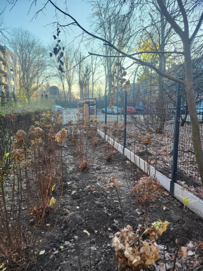 "Wybieg dla psów w Krakowie"