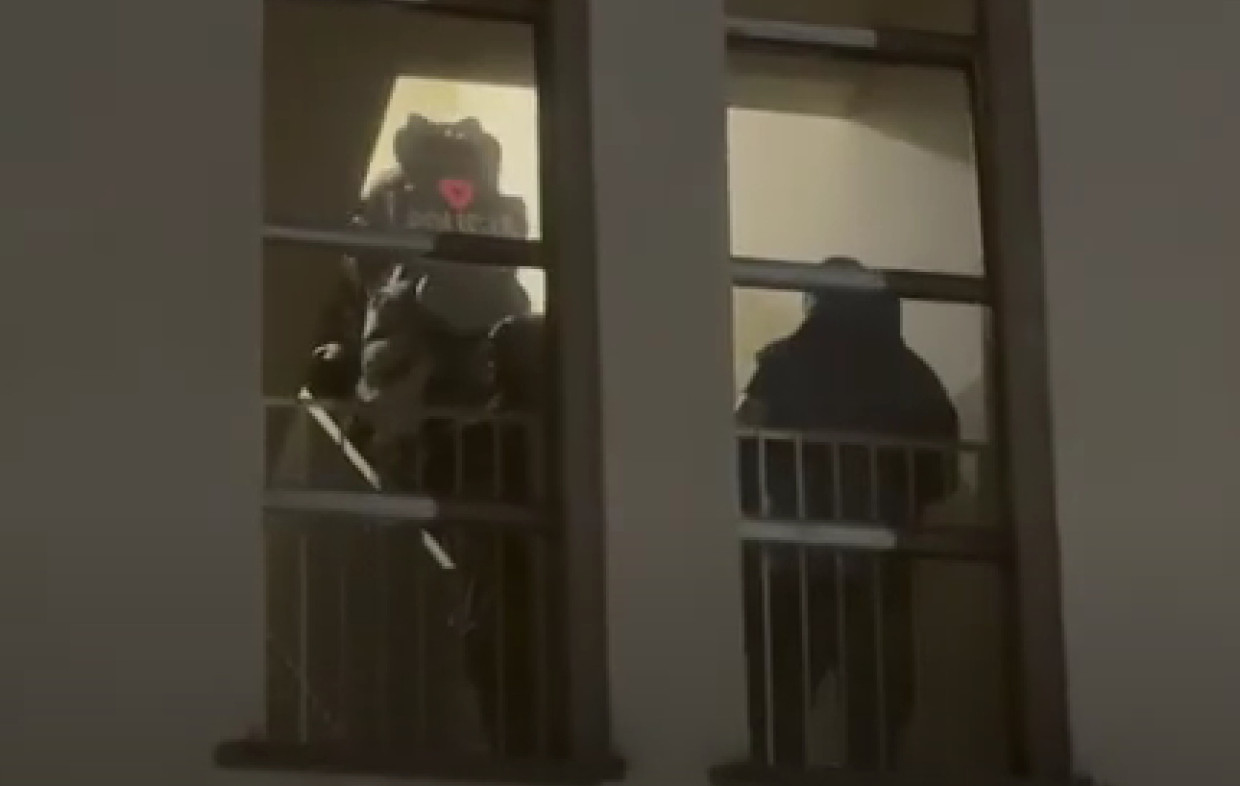 Kontrterroryści w akcji. Duże zatrzymania w Krakowie i okolicach [VIDEO]