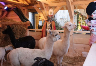 "Żywa szopka w Krakowie na ulicy Bociana 8"