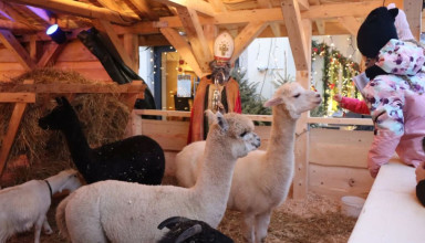 "Żywa szopka w Krakowie na ulicy Bociana 8"