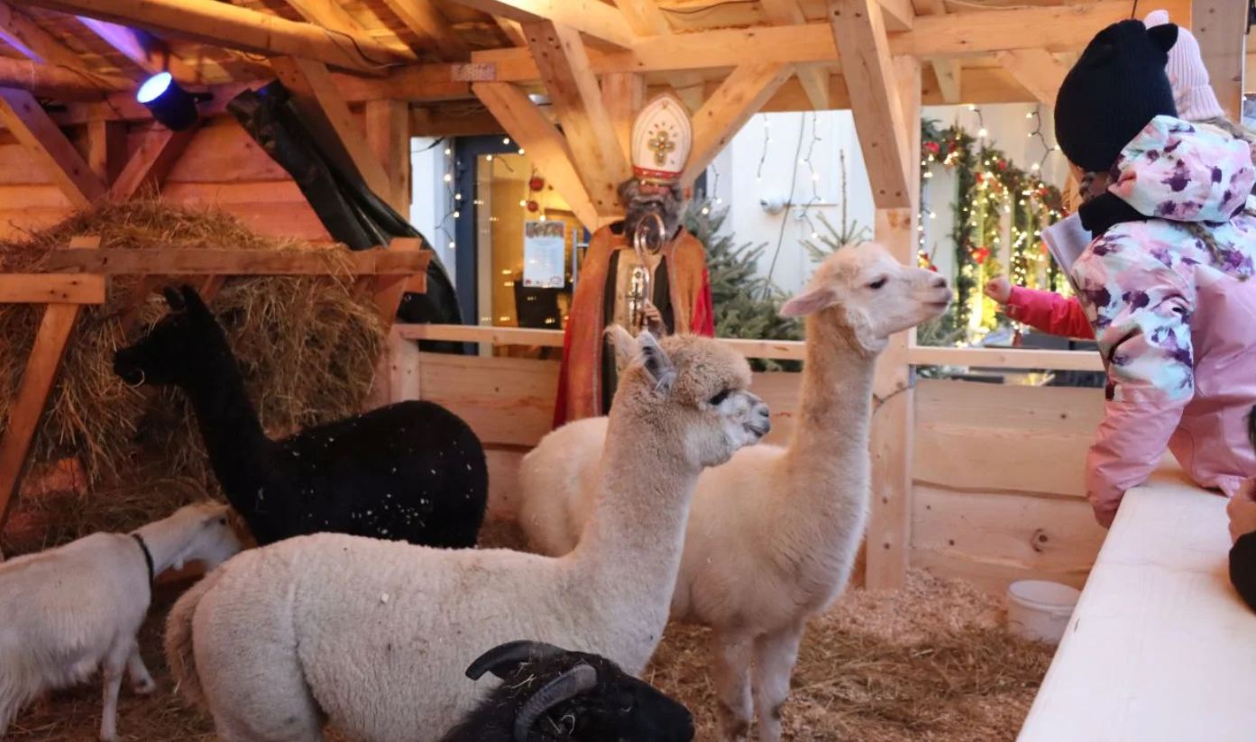 Wiemy, kiedy pojawi się żywa szopka przy ul. Bociana w Krakowie