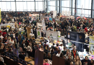 "Festiwal Azjatycki Kraków 2026"