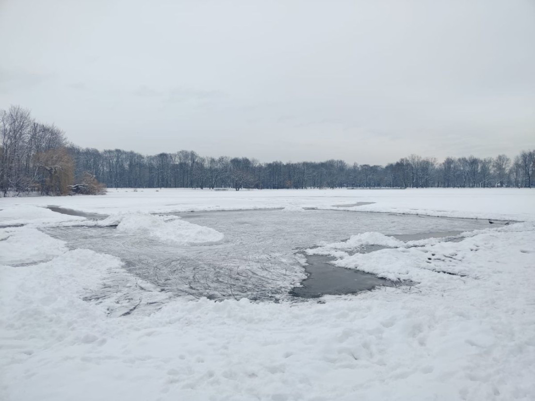 Zima w Nowej Hucie kusi lodowiskiem na zalewie. To może być bardzo niebezpieczne [ZDJĘCIA]
