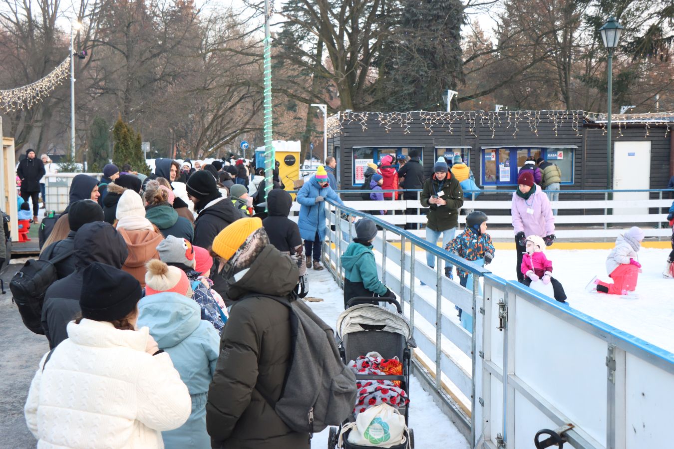 Ice Park Kraków w Parku Jordana oblegany. Duże zainteresowanie lodowiskiem [ZDJĘCIA]