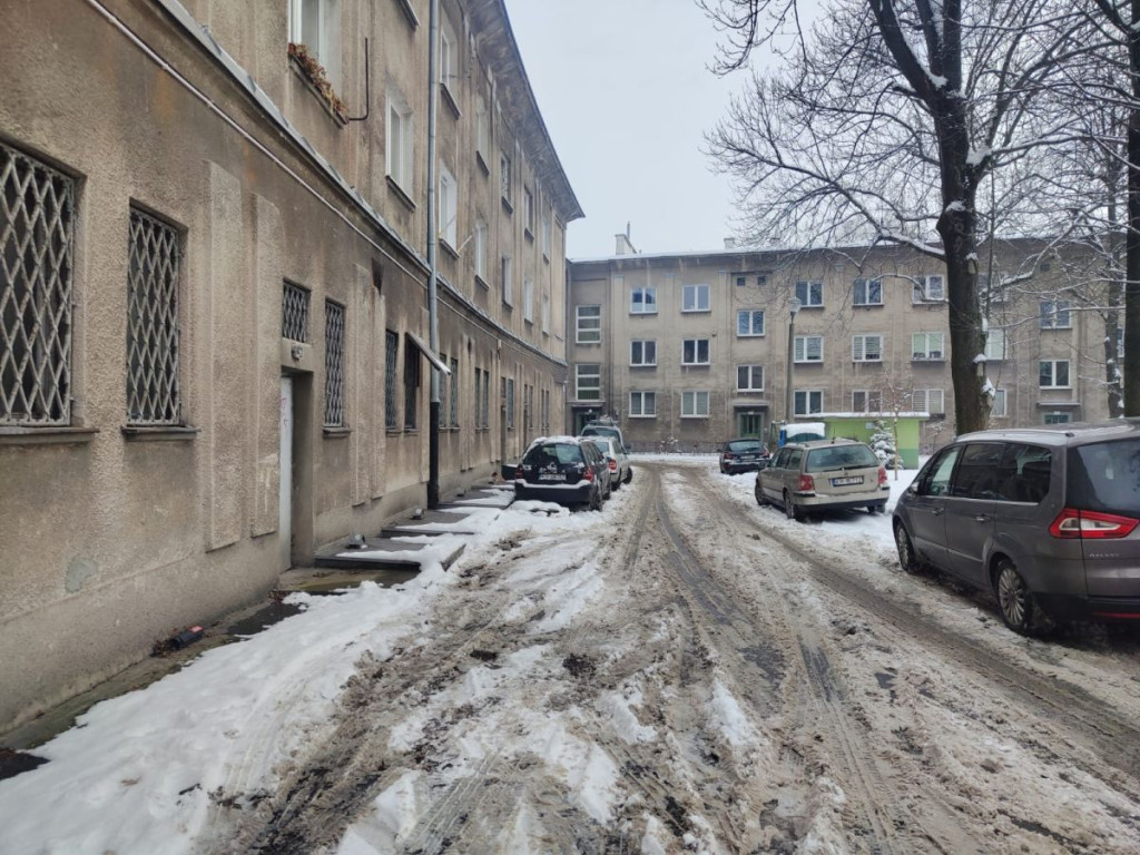 "Dzięcioł i Violetta w Krakowie"