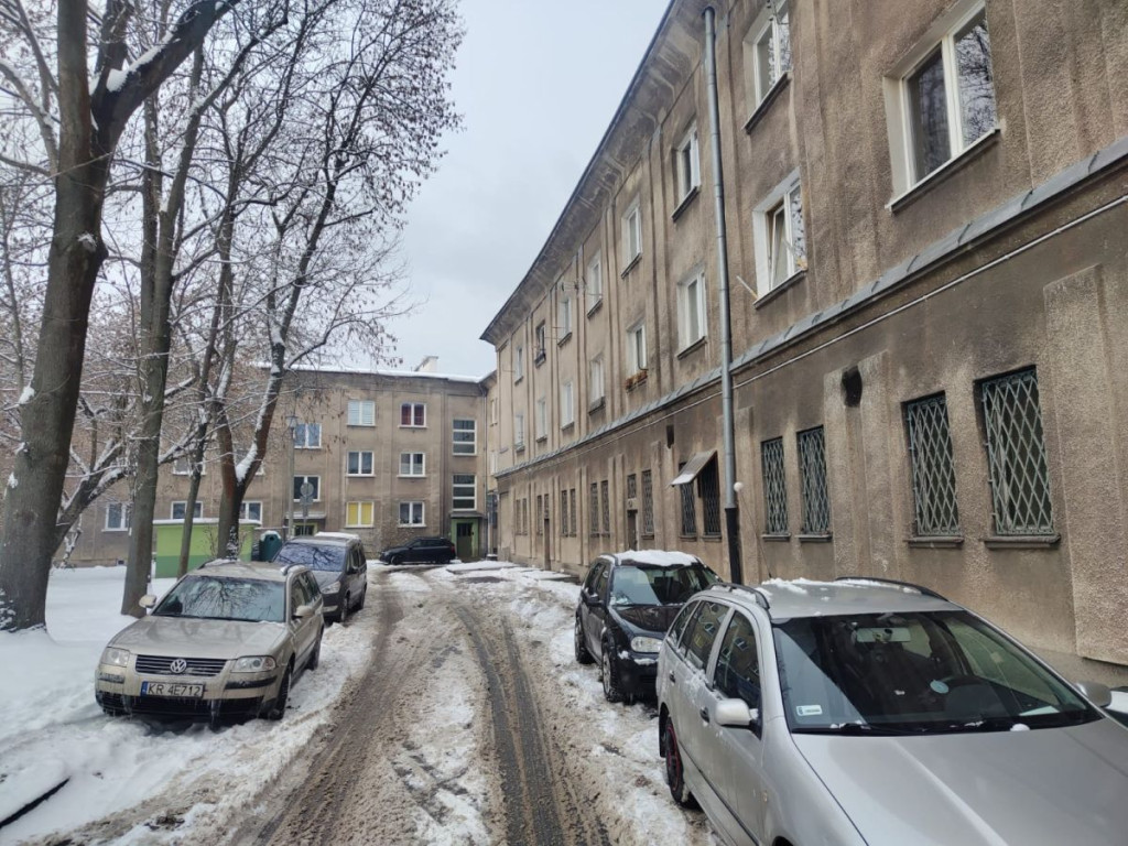 "Dzięcioł i Violetta w Krakowie"