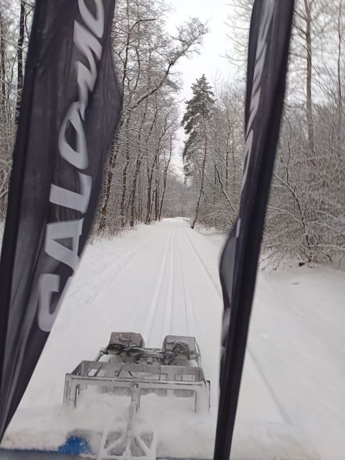 "Narciarstwo Biegowe w Krakowie"