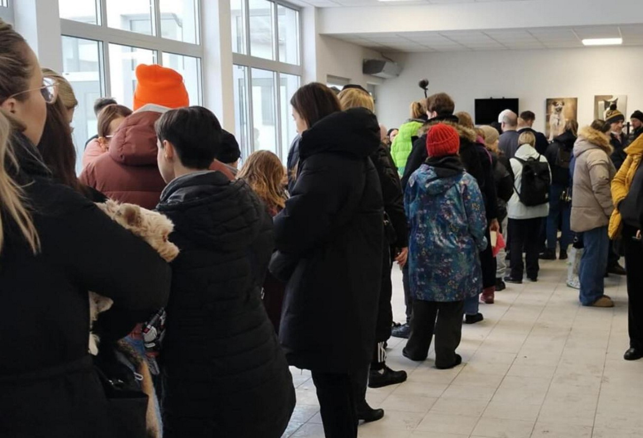 Wielka mobilizacja w Krakowie. Ponad 30 psów wyjechało ze schroniska przed mrozami