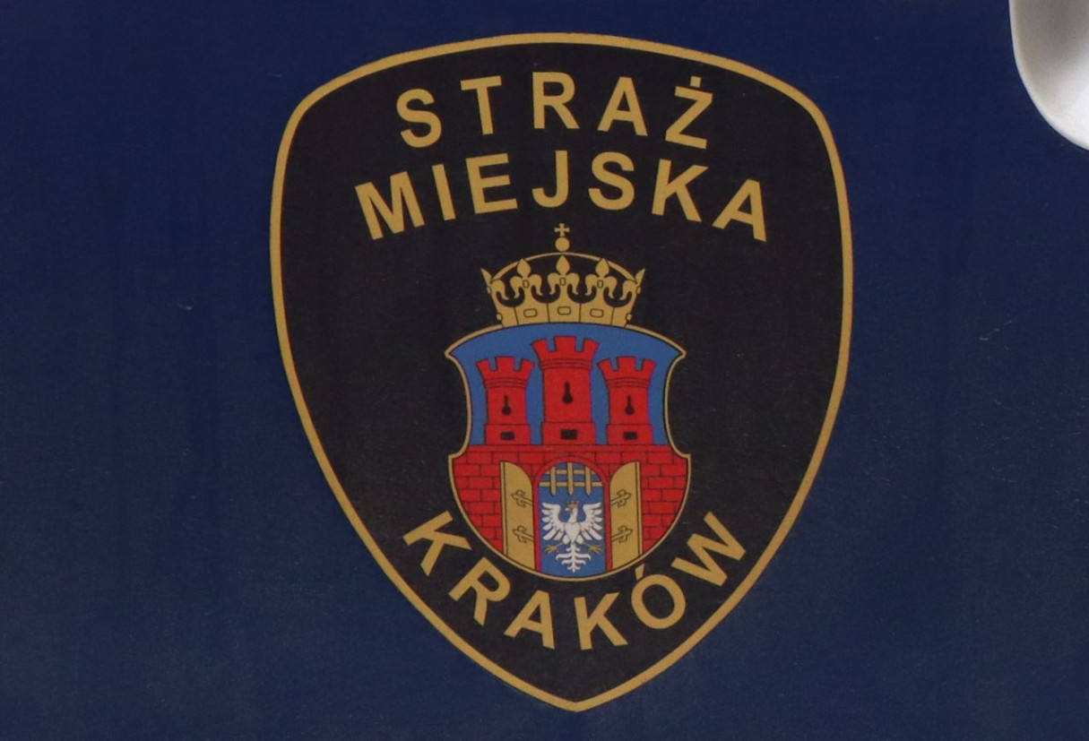 Seniorka przewróciła się w mieszkaniu i córka nie mogła jej podnieść. Interweniowała Straż Miejska