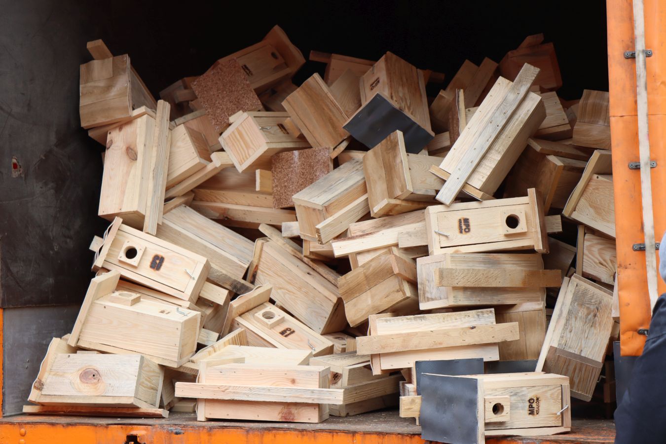 Za darmo rozdawano karmniki i budki lęgowe dla ptaków. Akcja przyjągneła tłumy [ZDJĘCIA]