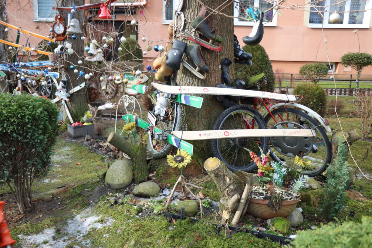 Nietypowy ogródek w Krakowie przy ulicy Celarowskiej [ZDJĘCIA]