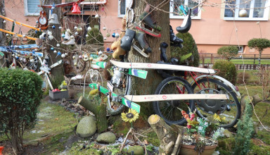 "Podwórko ogród w Krakowie ul. Celarowska"